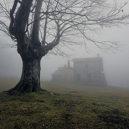 Casa envolta em neblina